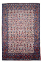 Load image into Gallery viewer, Antique Veramin Persian Garden Treasure