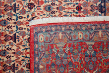 Load image into Gallery viewer, Antique Veramin Persian Garden Treasure