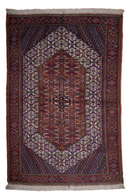 Load image into Gallery viewer, Irani Baluchi Wool Rug – Floral Medallion
