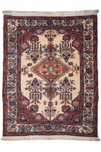 Load image into Gallery viewer, Garden Bloom Zenjen Wool Rug
