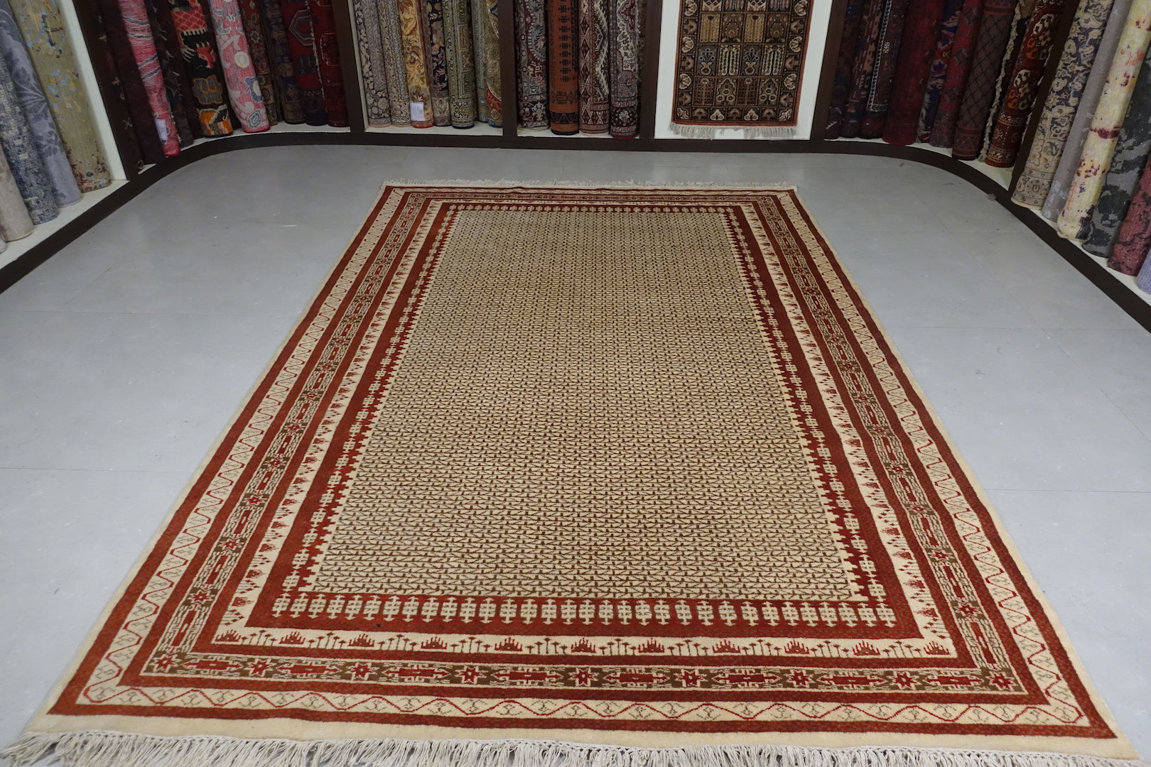 This is an Indian wool rug and measure 6 feet by 9 feet. The colours used on the rug are beige,white,broen ad orange.